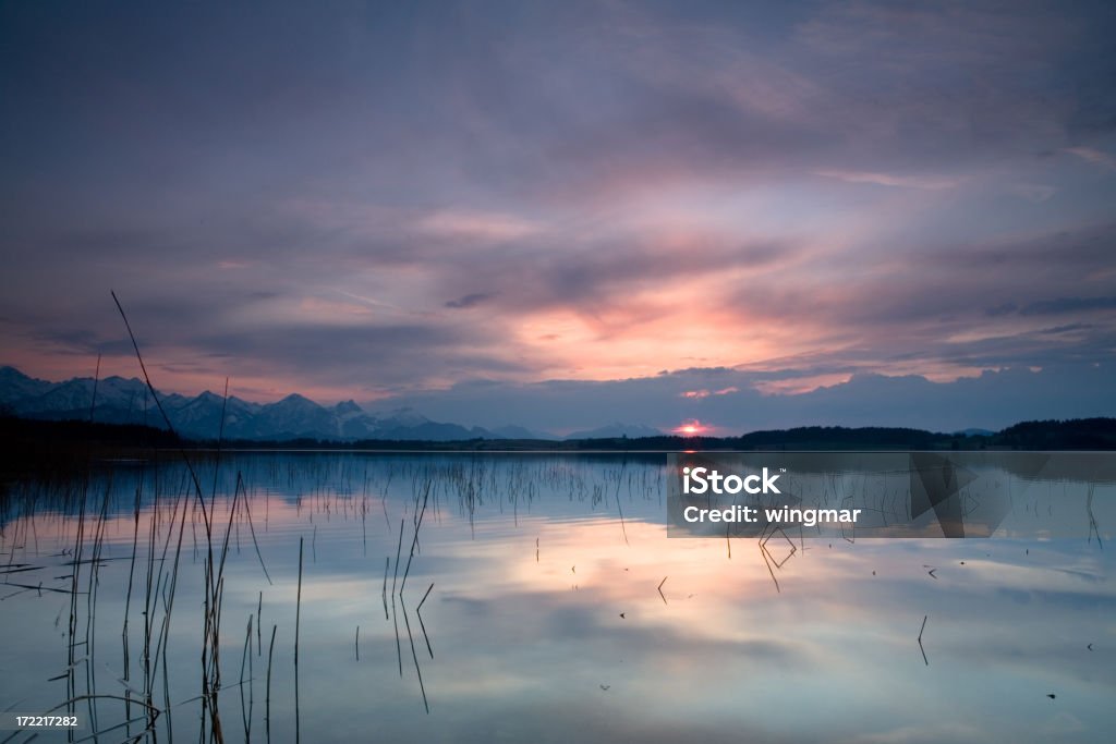 Lago forggensee - Foto de stock de Agua libre de derechos