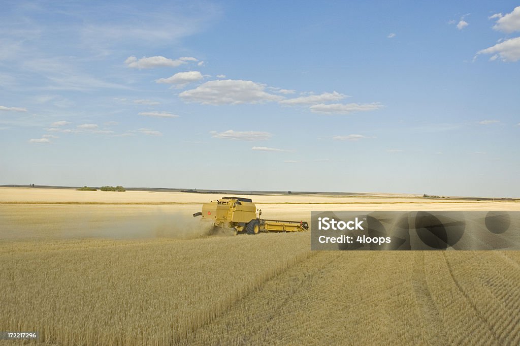 Урожай живописным - Стоковые фото Саскачеван роялти-фри