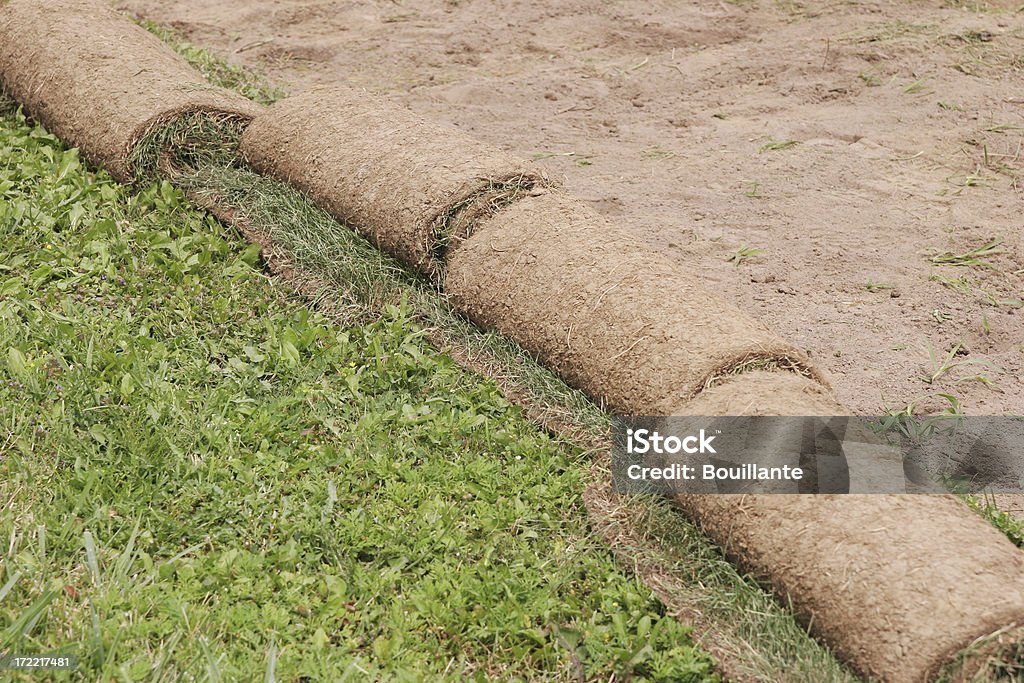 Prato rolls - Foto stock royalty-free di Affari