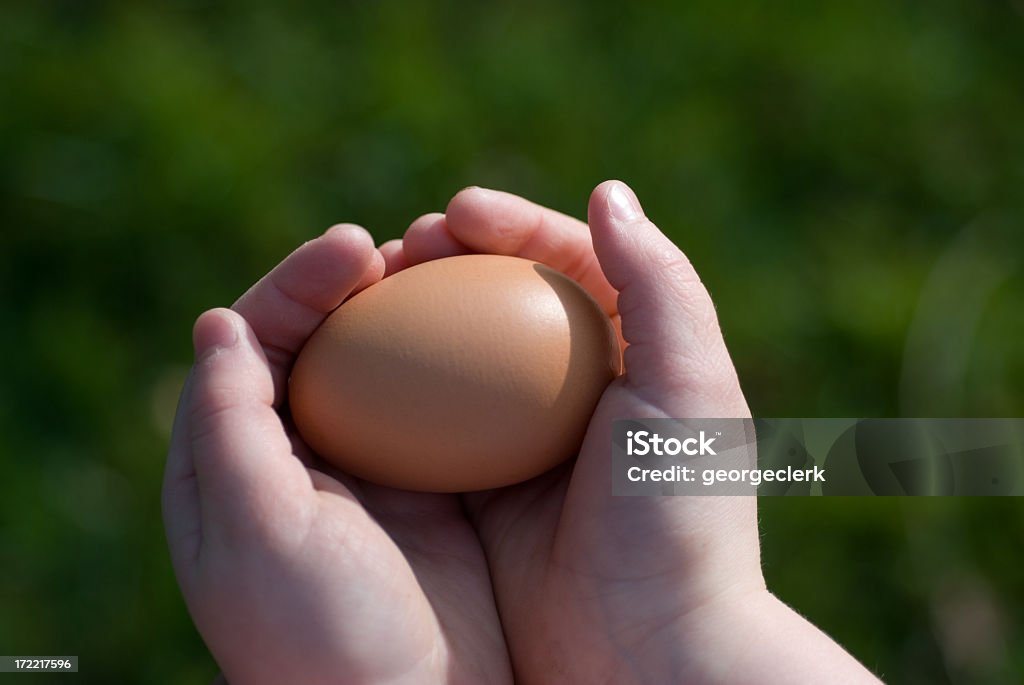 Kind hält ein Ei - Lizenzfrei Abnehmen Stock-Foto