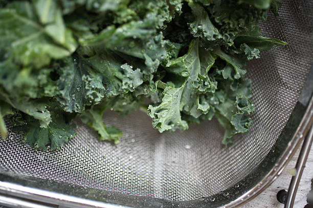Culinary: Kale stock photo
