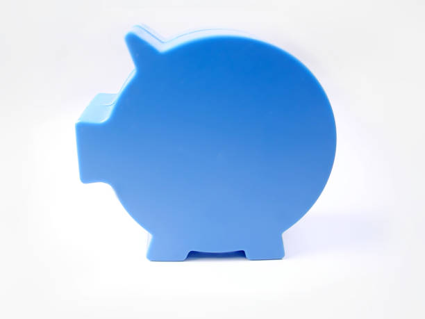 Blue pig stock photo