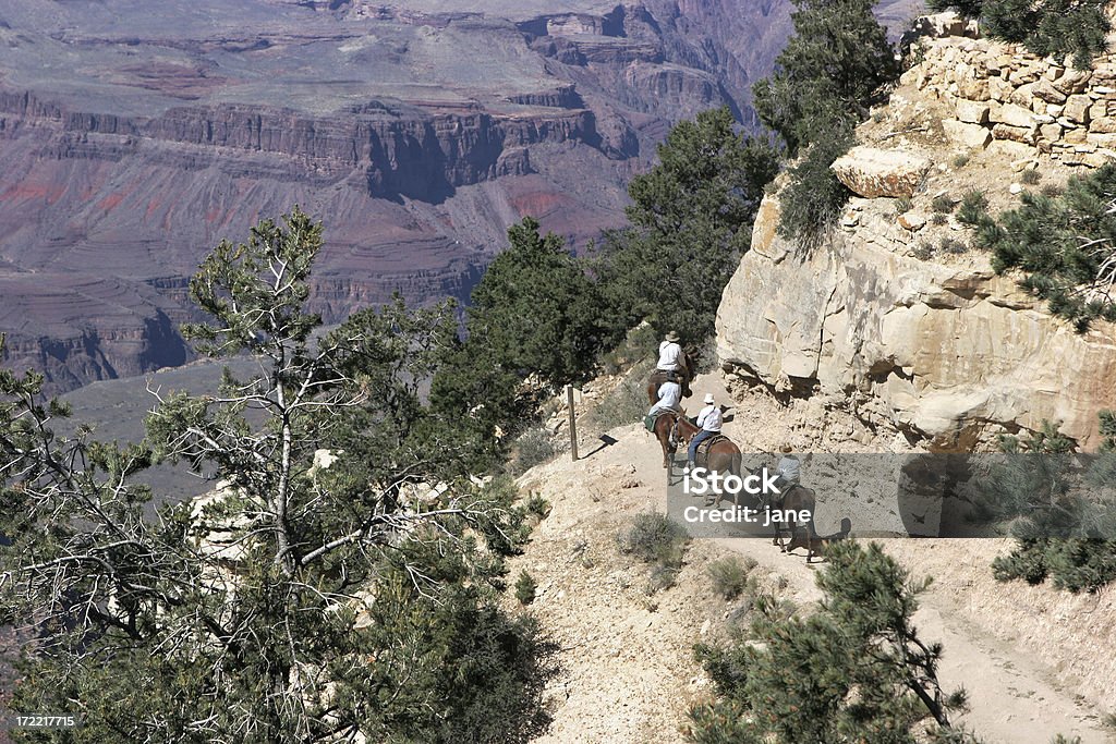 Grand Canyon-Espeletia - Royalty-free Animal Foto de stock