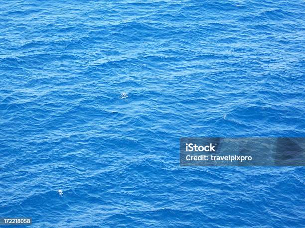 Foto de Mar Azul De Fundo e mais fotos de stock de Aberto - Aberto, Alto - Descrição Geral, Ave Aquática