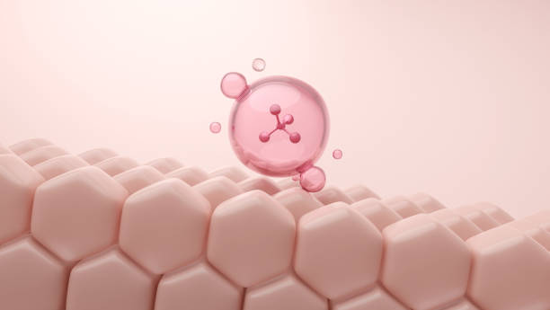 istock Molecules of collagen and skin cells 1722182467