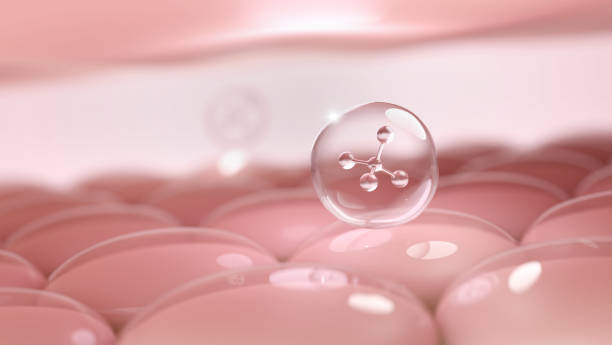 istock Collagen supplement and skin cells 1722183568