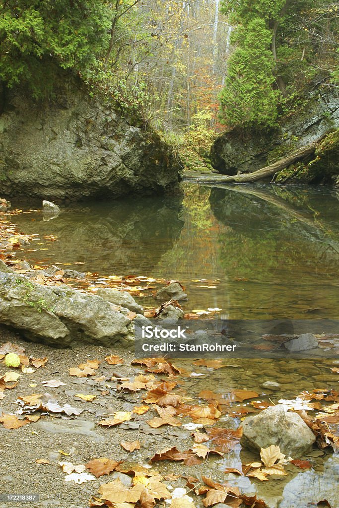 Outono Stream por The Rocks, Ravina - Foto de stock de Arbusto royalty-free