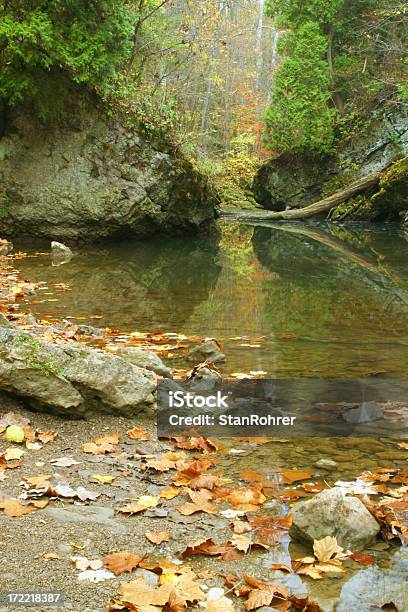 Foto de Outono Stream Por The Rocks Ravina e mais fotos de stock de Arbusto - Arbusto, Atividade Recreativa, Bosque - Floresta