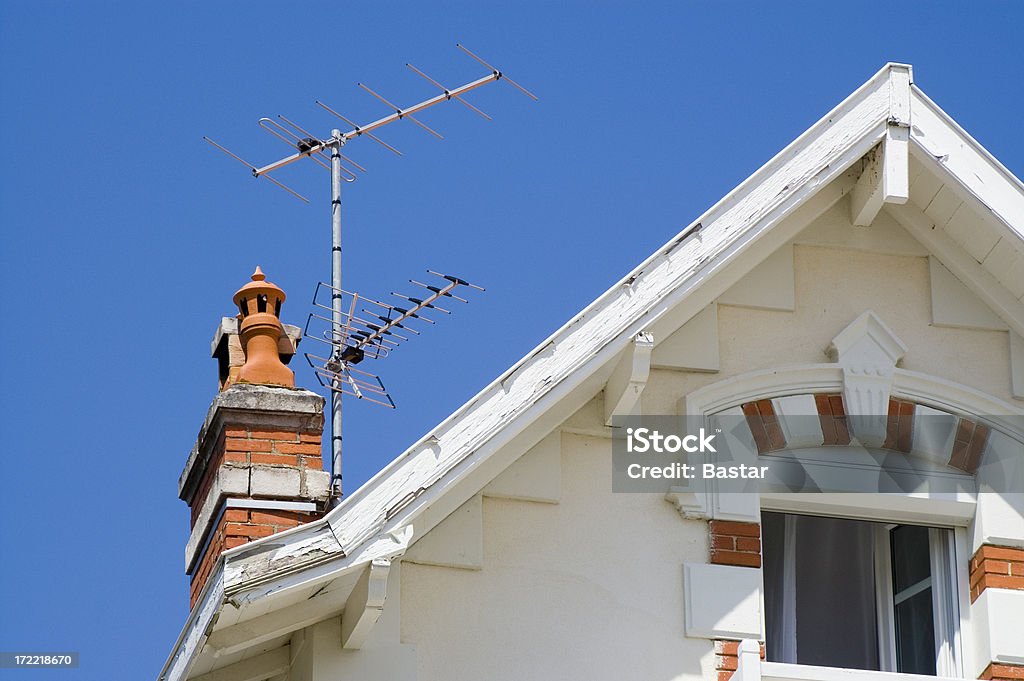 En el último piso - Foto de stock de Antena - Parte del cuerpo animal libre de derechos