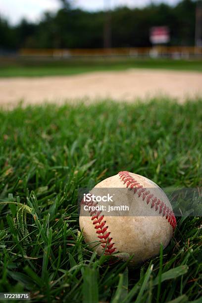 Baseball On Field Stock Photo - Download Image Now - Youth Baseball, Baseball - Ball, Baseball - Sport