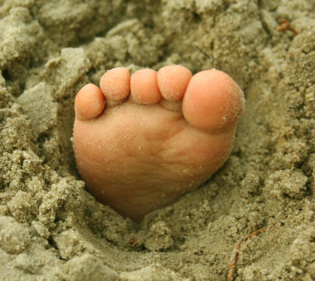 istock Sweet Little Foot 172219023