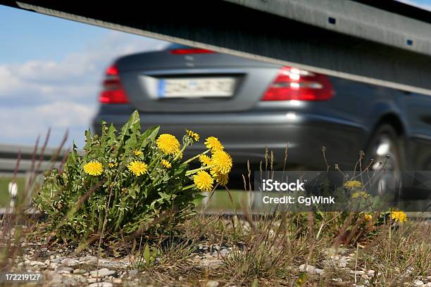 Su Strada - Fotografie stock e altre immagini di Ambiente - Ambiente, Anidride carbonica, Asfalto