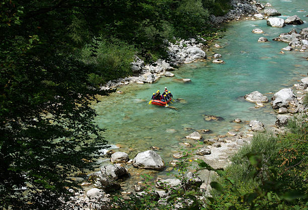 Rafting "White water rafting on the crystal clear emerald colour alpine river. Soca river, Triglav national park, Slovenia. Blurred tree branches in the foreground." primorska white sport nature stock pictures, royalty-free photos & images