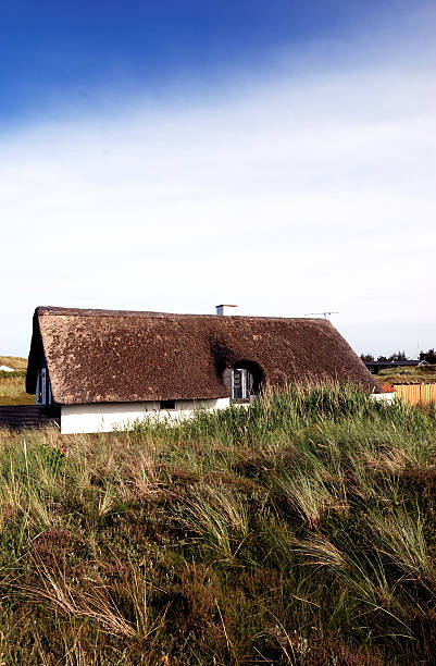 istock thatched roof in denmark 172219536