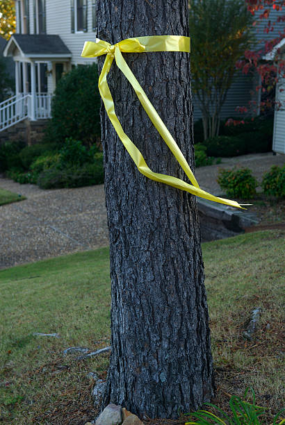 istock Tie a Yellow Ribbon 172219728