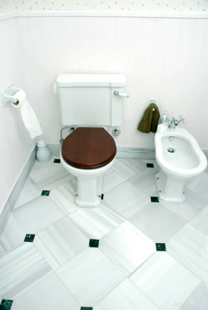 istock Water closet ad bidet 172219867