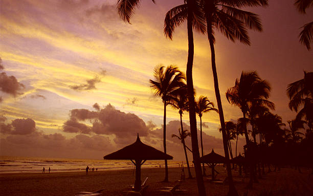 Beach on Ivory Coast Beach on Ivory Coast - palms, beach umbrella, sunset, exotic ivory coast landscape stock pictures, royalty-free photos & images