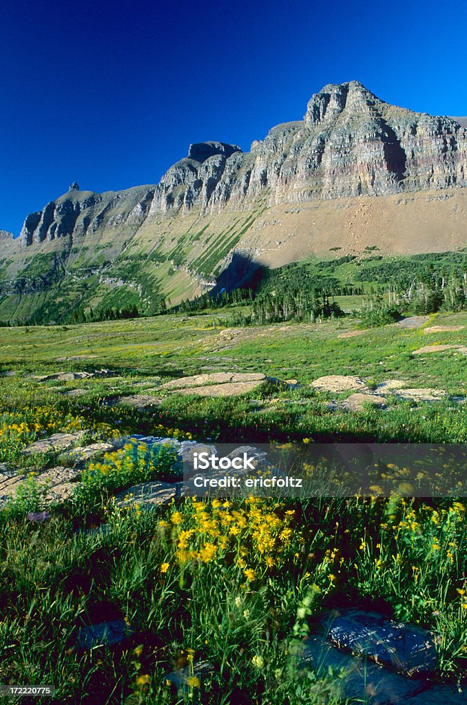 Garden Wall "Glacier National Park, Montana" Beauty In Nature Stock Photo