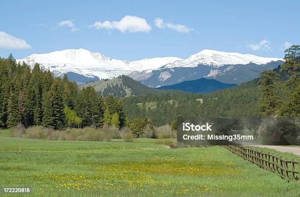 Mount Evans Spring Meadow Stock Photo - Download Image Now - Mt Evans Wilderness, Colorado, Foothills