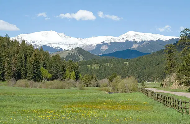Photo of Mount Evans & Spring Meadow
