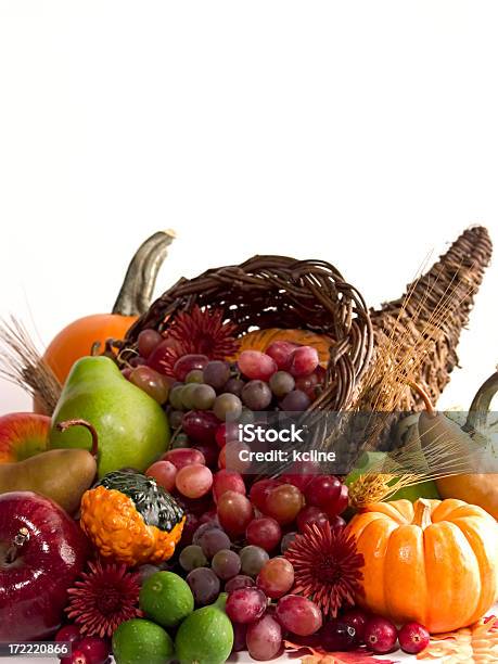 Cornucópia - Fotografias de stock e mais imagens de Abundância - Abundância, Abóbora, Abóbora-Menina - Cucúrbita