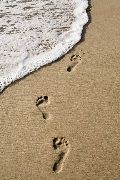 istock Footprints in Sand at the Beach 172221093