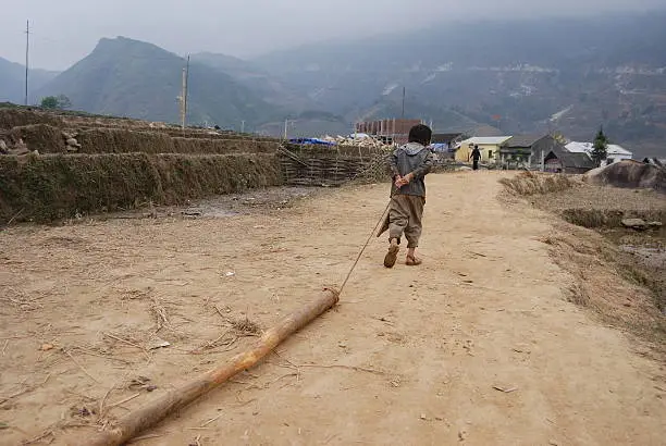 Little vietnamese boy is tugging a trunk. I took this picture in a hill tribe village near Sapa in North Vietnam.