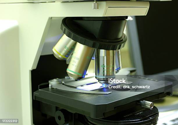 Foto de Academic Microscópio e mais fotos de stock de Abaixo - Abaixo, Célula, Microscópio
