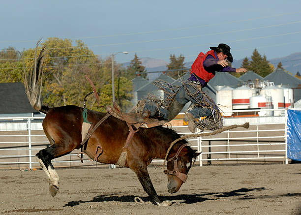 flying kowboj - rodeo cowboy montana bucking bronco zdjęcia i obrazy z banku zdjęć