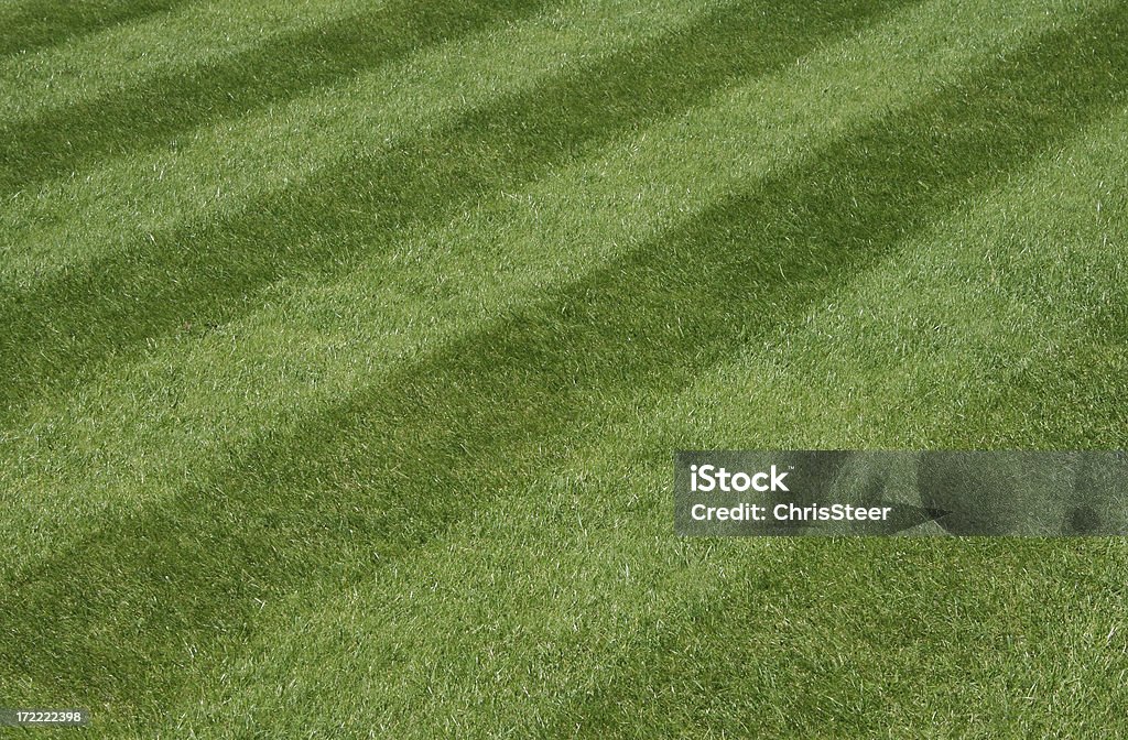 庭園の芝生 - サッカー場のロイヤリティフリーストックフォト