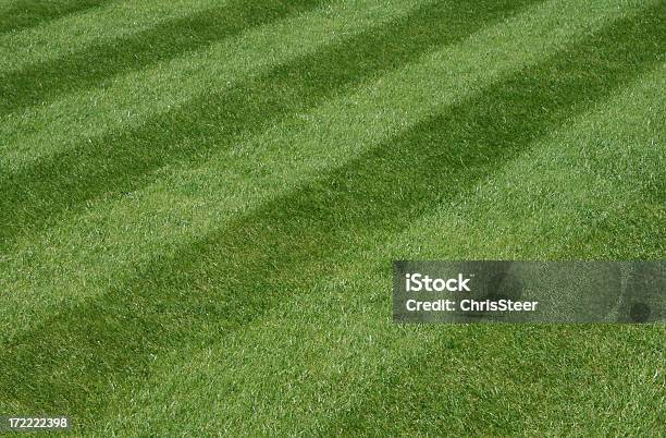 Jardim Grama Lawn - Fotografias de stock e mais imagens de Campo de Futebol - Campo de Futebol, Ao Ar Livre, Cena de tranquilidade