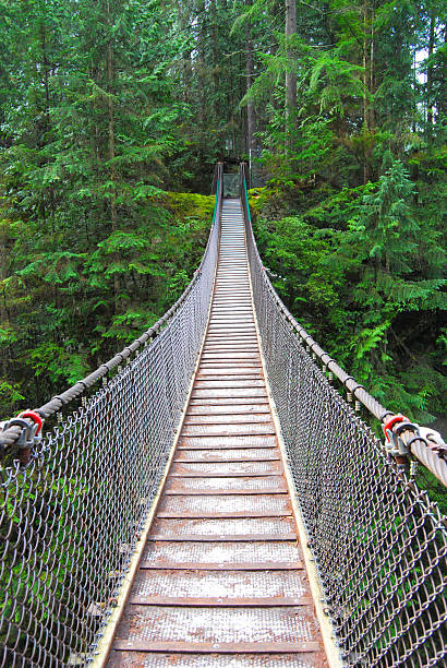 istock Lynn Canyon Suspension Bridge 172222474