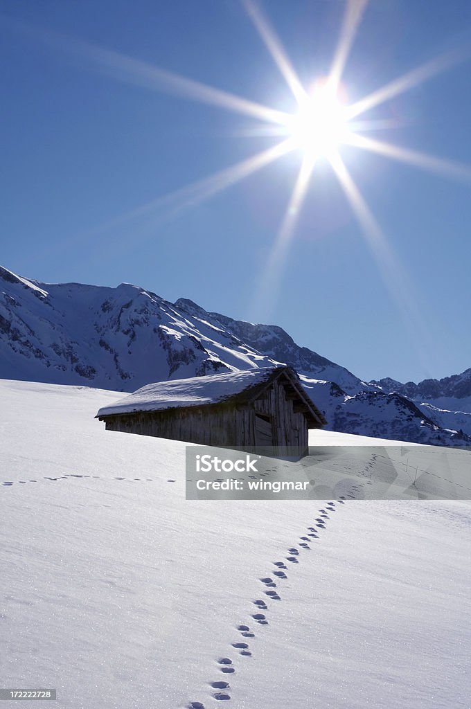 winter-Hintergrundbeleuchtung - Lizenzfrei Alpen Stock-Foto