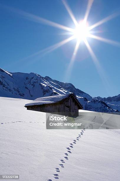 Winterhintergrundbeleuchtung Stockfoto und mehr Bilder von Alpen - Alpen, Baum, Berg