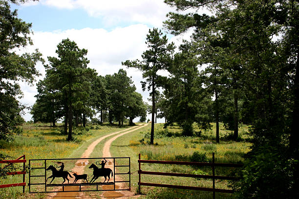 Texas Ranch Pictures | Download Free Images on Unsplash