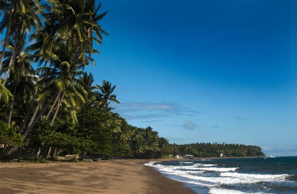 istock Volcanic Lava Beach Negros Philippines 172223131