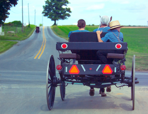Amish Buggies on a rural road.
