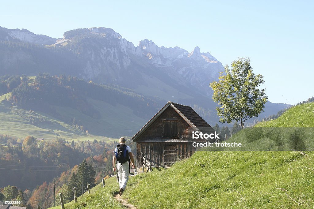 Trekking in appenzell 2 "Trekking in appenzell, Switzerland. View of the Alps" Hiking Stock Photo