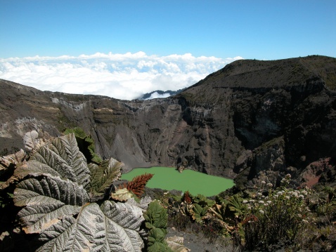 DSLR picture of the Irazu Volcano in Costa Rica. There is a plant in the foreground, the green volcano crater is the main focus. The sky is clear blue and the volcano summit is above clouds.