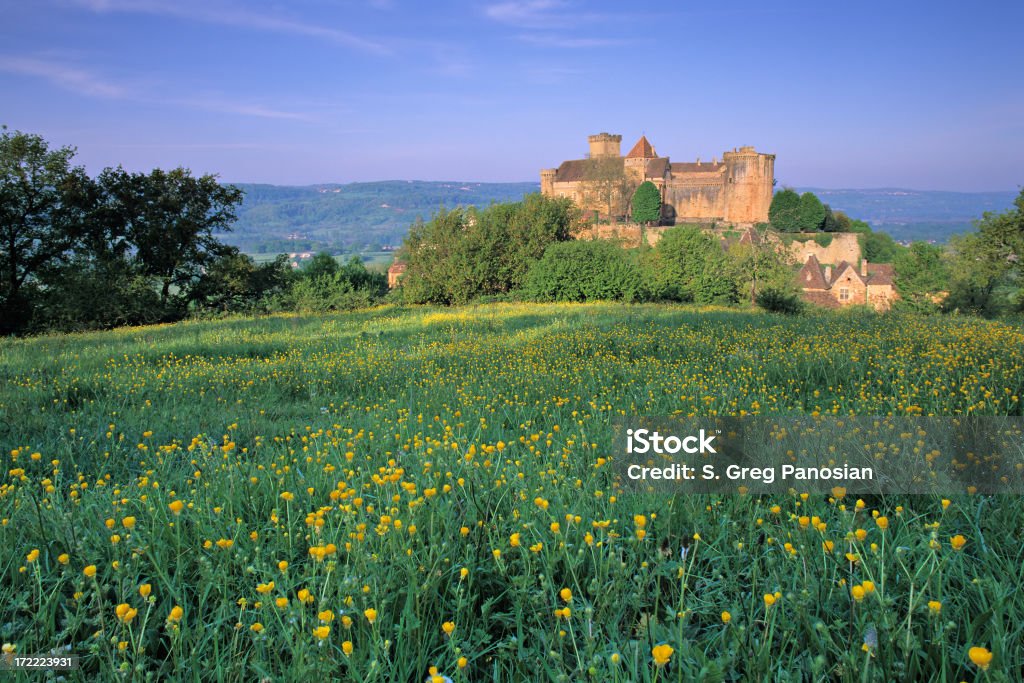 Castle of Castelnau "Chateau de Castelnau and a field of wildflowers (Quercy, France)." Castle Stock Photo