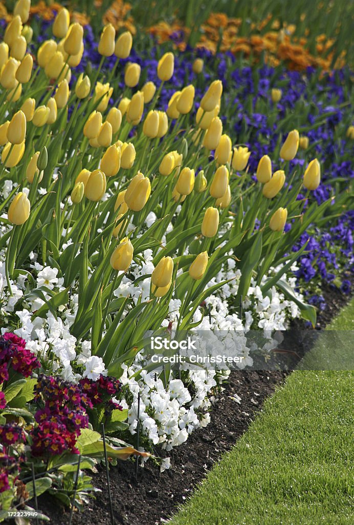 Flower Beds - landscaped garden Color Image Stock Photo