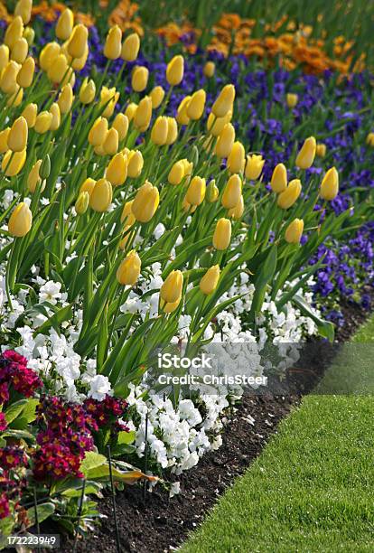 Flower Beds Landscaped Garden Stock Photo - Download Image Now - Color Image, Flower, Flowerbed