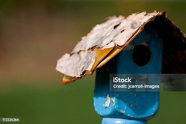 Ninguém Casa - Fotografias de stock e mais imagens de Animal - Animal, Azul, Casa