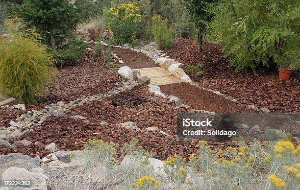 Xeriscaping На Сад — стоковые фотографии и другие картинки Без людей - Без людей, Вяз, Горизонтальный