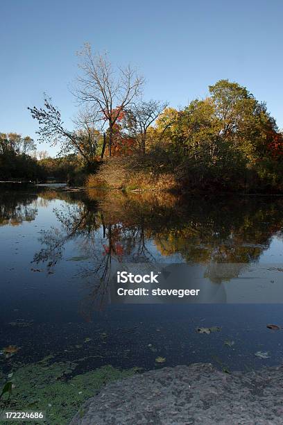 秋の湖 - アメリカ中西部のストックフォトや画像を多数ご用意 - アメリカ中西部, アメリカ合衆国, イリノイ州