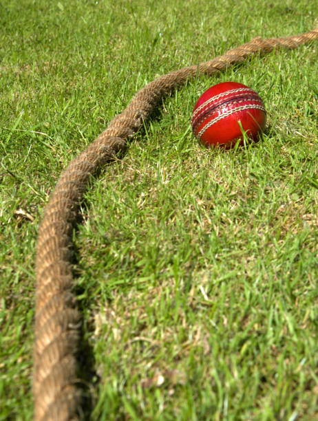 A cricket ball lying on green grass next to a boundary rope