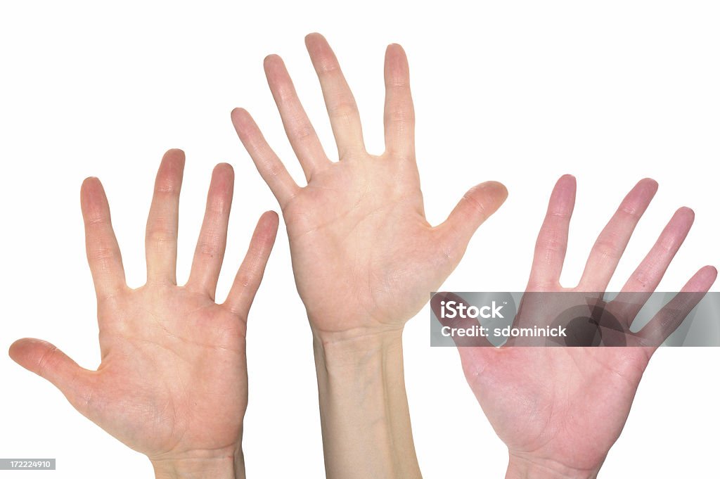 Pick Me! Several isolated hands as if waiting to be called upon. White Background Stock Photo