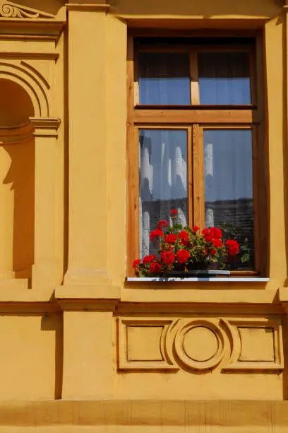 Baroque building with vibrant geraniums in a windowbox