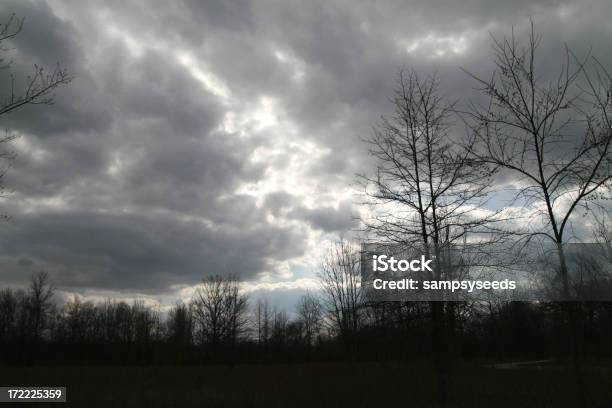 Photo libre de droit de Rouler Dans La Tempête banque d'images et plus d'images libres de droit de Arbre - Arbre, Ciel, Ciel couvert