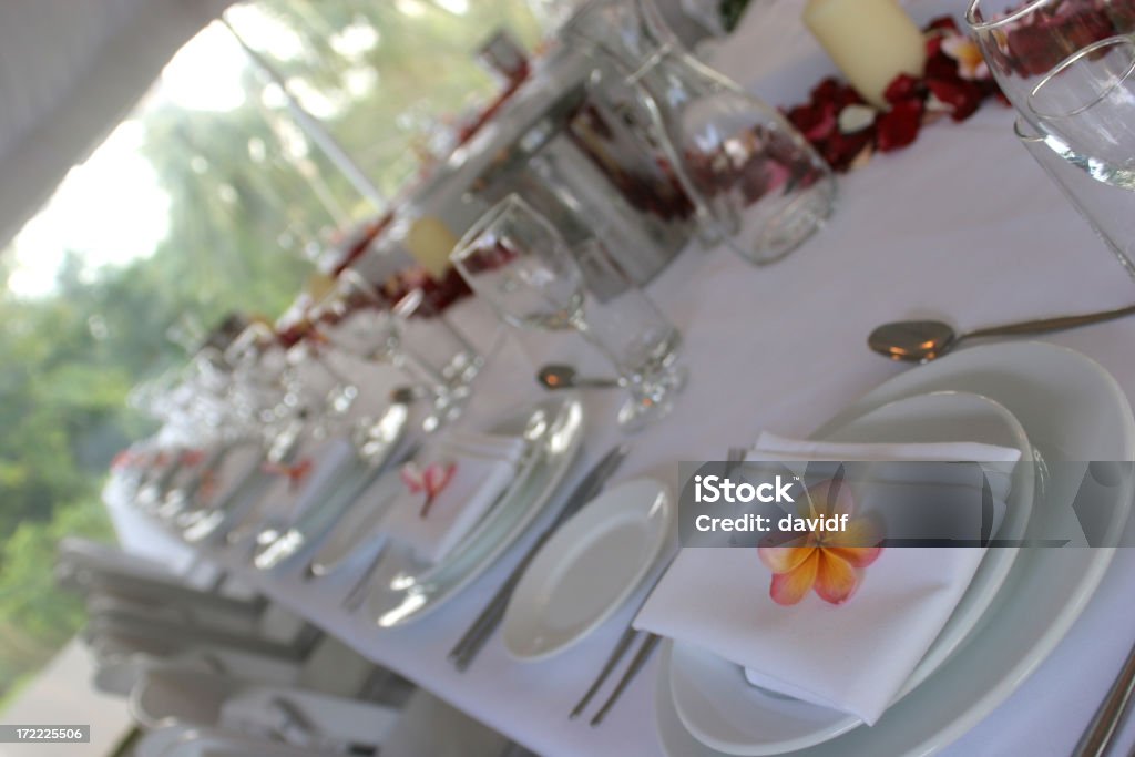 Frangipani Table horiz Table set for a wedding reception with frangipani flowers on the plates Arranging Stock Photo